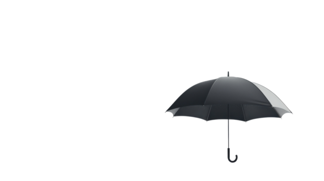 A solitary black umbrella is displayed with a stark white background, emphasizing its elegant form and design
