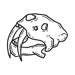 Vector linear illustration of a hand drawn sabertooth tiger skull icon in doodle style.