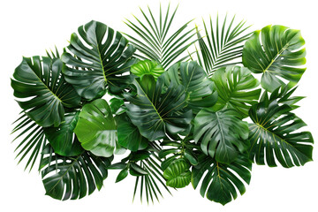 Tropical Leaves Lush Backdrop. Fresh Green Monstera And Palm Fronds Create A Natural, Vibrant Scene On White.