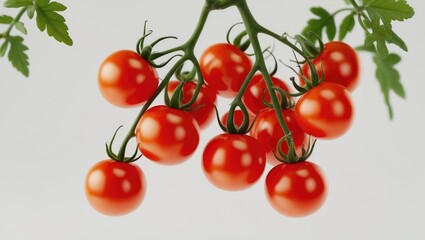 Top view of fresh cherry tomatoes branch isolated on white surface.