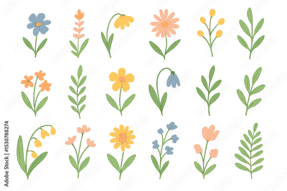 Poster collection of colorful hand-drawn flowers arranged artistically on a white background showcasing var