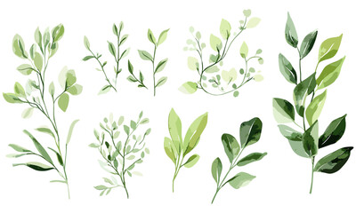 Greeting card design with watercolor flowers, vector illustration, botanical leaves, invitation card for holiday or wedding, elegant background, floral clipart, transparent background.