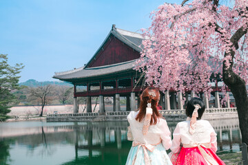 A young woman in a traditional Korean hanbok stands beneath a blooming cherry blossom tree,...