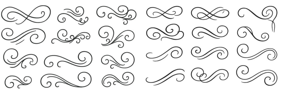 Decorative swirls and flourishes in black on white background showcasing elegant line art design
