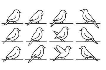 Obraz premium Birds perched on branches in a minimalist design showcasing various poses and angles