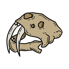 Vector linear illustration of a hand drawn sabertooth tiger skull icon in doodle style.