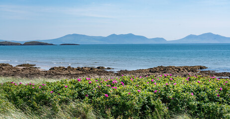 walking around Abberfraw Anglesey North Wales