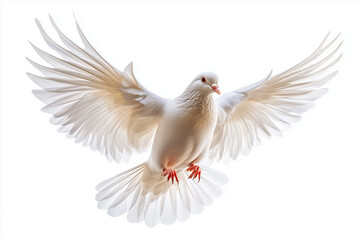 Majestic White Dove MidFlight A Symbol of Peace and Tranquility on White Background