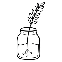 Hand drawn doodle plant grow root in water glass on white background.