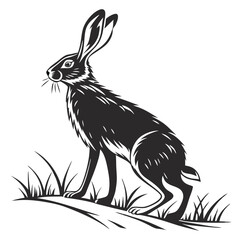 Silhouette of a black hare standing upright among grass and dirt looking alert