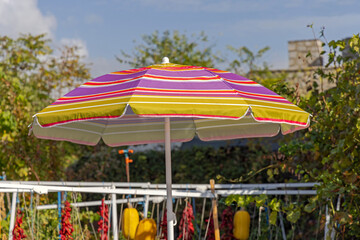 One Colourful Open Parasol Garden