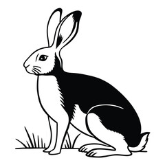 Black and white rabbit rests calmly among the sparse grass in a field