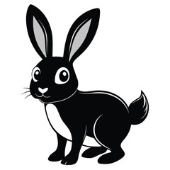 A black rabbit with white markings is curiously standing and looking ahead now