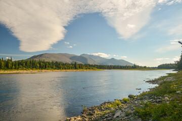 Virgin Komi Forests.