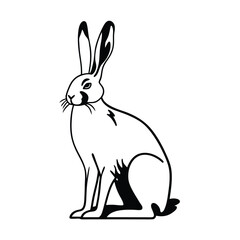Black line drawing showcases a jackrabbit sitting upright with a thoughtful expression