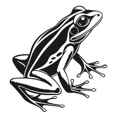 Striking black frog showcases detailed lines and distinctive markings on white background for nature enthusiasts