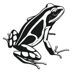 A striking black and white depicts a vibrant striped poison dart frog