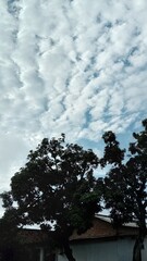 Obraz premium Cloudscape with Trees and Building Outdoors