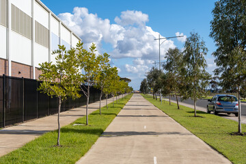 A wide, tree-lined shared pedestrian and cycling path with painted lane markings runs between an institutional building and a quiet suburban road bordered by evenly spaced young trees on grassy verges © Doublelee