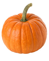 Obraz premium Orange Pumpkin with Stem