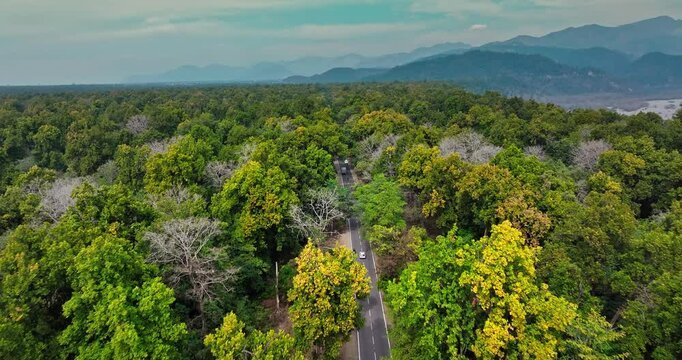 Epic Hill Chain Scenery Covered by Lush Green Jungle. Highway goes through Rajaji National Park, Dehradun-Rishikesh Road. A concept of nature conservation. Vibrant green forest with an asphalt road. 