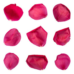 Rose petals