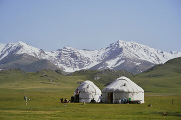 Nomadic yurts on open grassland with snowy mountains in the background