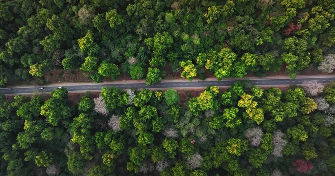 Epic Hill Chain Scenery Covered by Lush Green Jungle. Highway goes through Rajaji National Park, Dehradun-Rishikesh Road. A concept of nature conservation. Vibrant green forest with an asphalt road. 