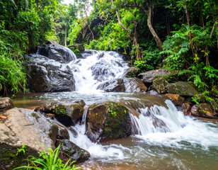Clear mountain water gently cascades over dark mossy rocks in a lush, green tropical forest, creating a peaceful natural scene filled with vibrant life and sound.	