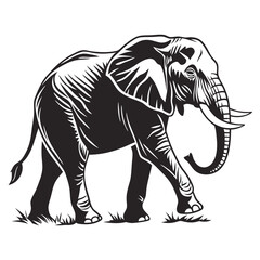 Majestic elephant strides forward, its powerful silhouette starkly contrasting against the white background