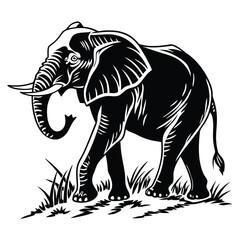 Monochrome illustration shows the elephant walking in the grassy field while foraging around for vegetation