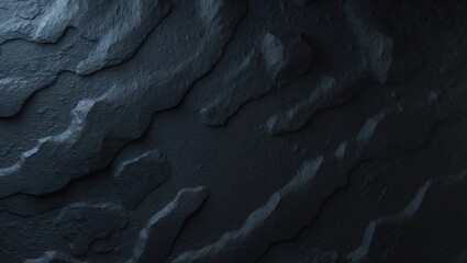 A dark-colored black stone with a smooth surface and polished appearance.
