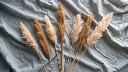 Beige reeds positioned on the grey linen bed. Attractive pattern with neutral tones. Minimalist, fashionable, trendy idea. Flat lay, top-down perspective. Monochrome photograph