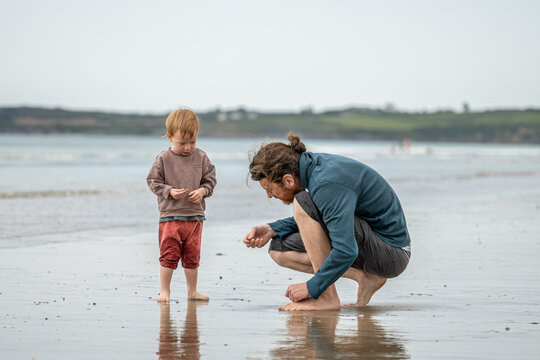 A man and a young child looking for shells on the beach near the shoreline.