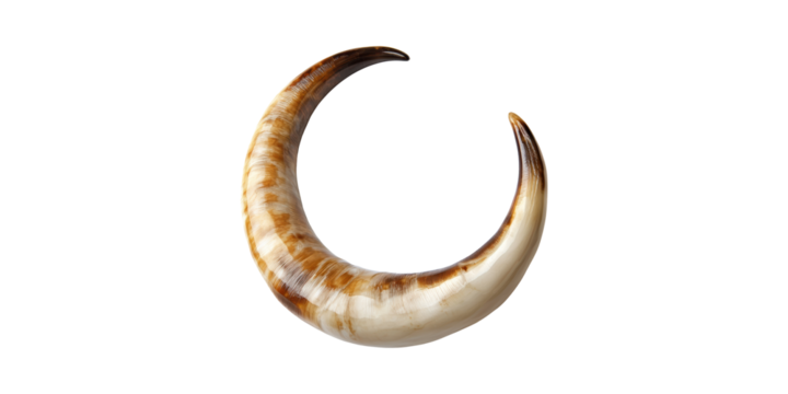 Curved Animal Horn. Symbol Of Strength And Tradition Isolated On Transparent Background