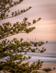 Looking across to the tall buildings of Surfers Paradise, Queensland, at sunrise.