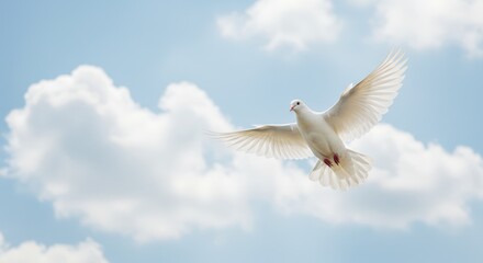 Obraz premium A white dove flies freely in a blue sky with fluffy white clouds