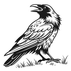Bold raven graphic, displayed in stark black and white, stands amidst simple lines of grass