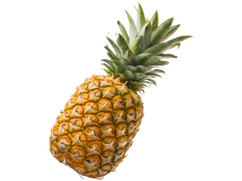   a single pineapple isolated on white background PNG