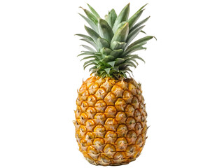 Fototapeta premium a single pineapple isolated on white background PNG