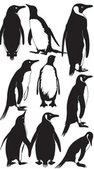 penguin bird animal silhouette cartoon , black silhouettes isolated on white background 