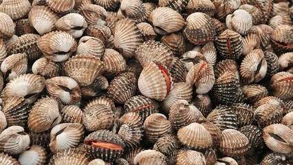 A pile of raw cockles.