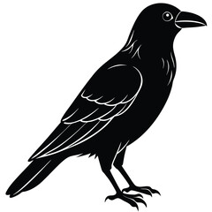 Silhouette of a sleek, black raven stands, displaying its sharp beak and clawed feet