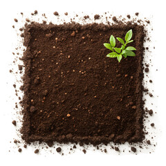 Square Frame of Rich Soil with Green Plant on Transparent Background