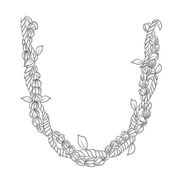 necklace Hawaiian drawing  lei illustration 