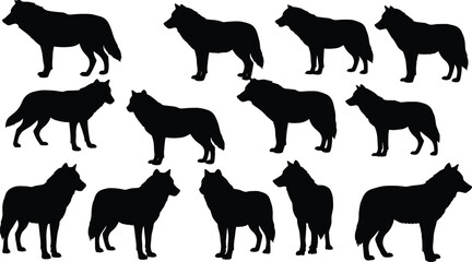 Set of wolf silhouettes, wild animal pose collection, black wolf shapes, isolated wolves standing,