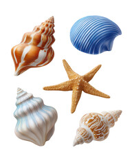 Seashells and Starfish Collection on Transparent Background