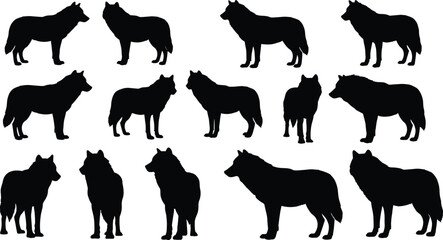 Wild wolf silhouette collection, black vector animals, standing wolves illustration set, forest wildlife clipart, predator nature icons for design