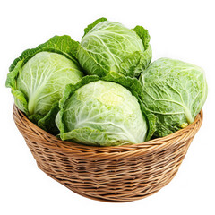 Fresh green cabbages in wicker basket isolated