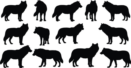 Wolf silhouette collection, wild canine shape set, black vector wolf pack, isolated animal outlines, wilderness predator icons, forest design